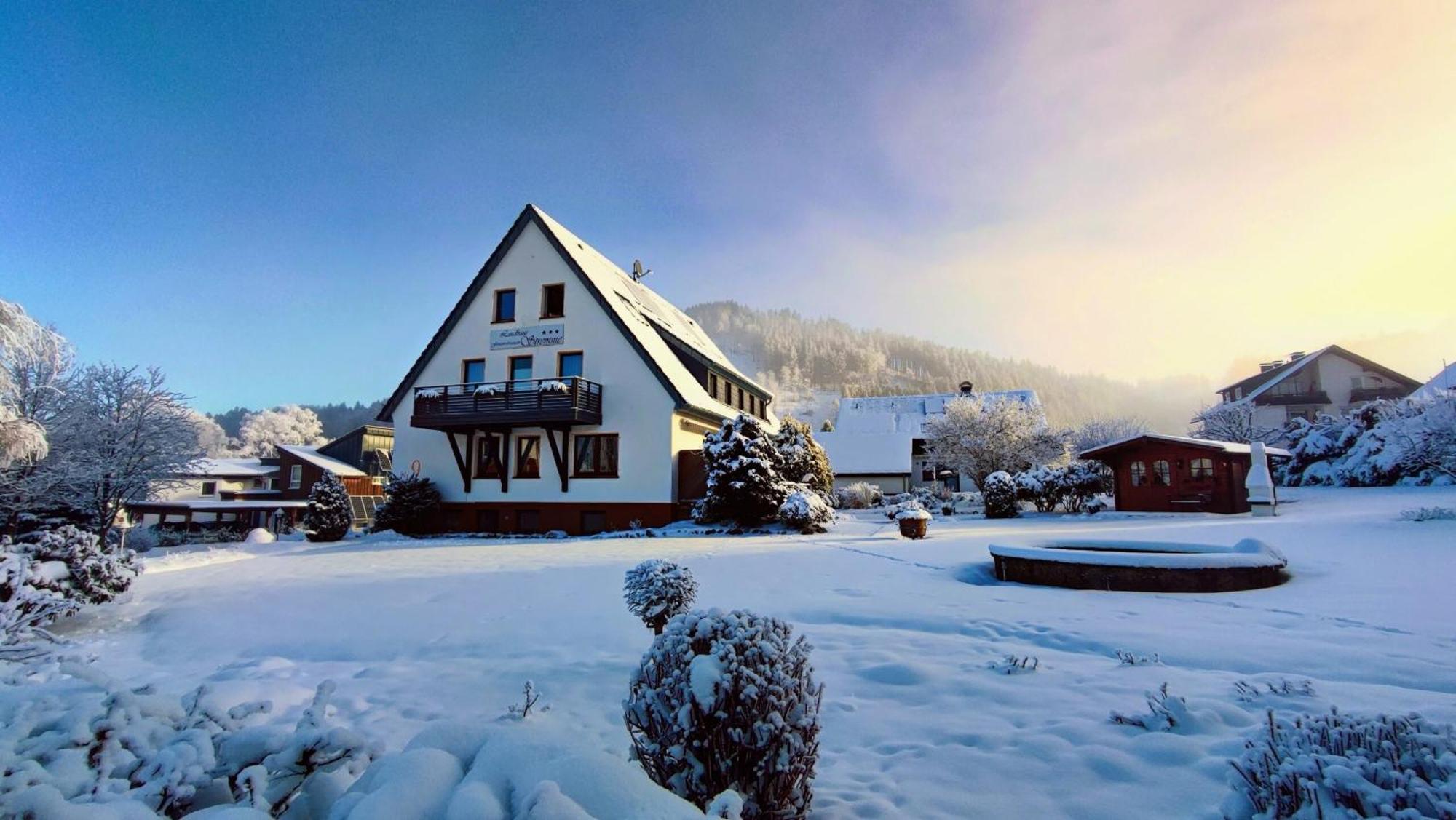 Landhaus Stremme Willingen  Bagian luar foto