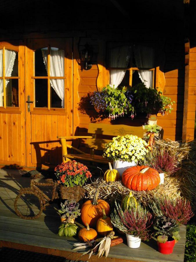 Landhaus Stremme Willingen  Bagian luar foto